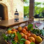 Apartamento Il Bosco Del Lebbio Montaione