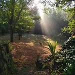 Apartamento Il Bosco Del Lebbio *
