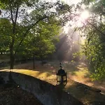 Il Bosco Del Lebbio * Montaione