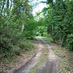 Il Bosco Del Lebbio Montaione
