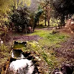 Apartamento Il Bosco Del Lebbio Montaione