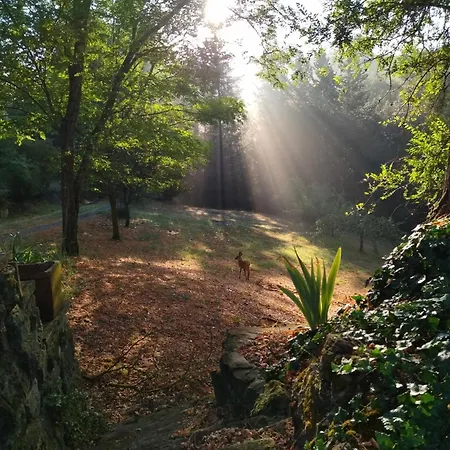 דירה Il Bosco Del Lebbio *