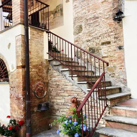 Il Bosco Del Lebbio *