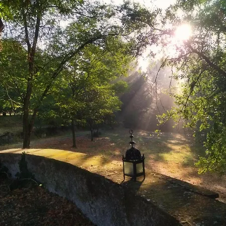 Il Bosco Del Lebbio * Montaione
