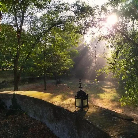 Il Bosco Del Lebbio * מונטאיונה