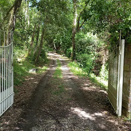 Il Bosco Del Lebbio מונטאיונה