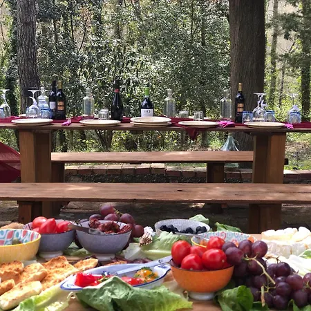 Il Bosco Del Lebbio