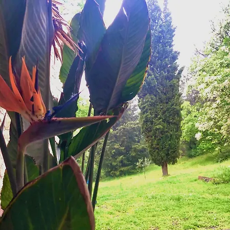 דירה Il Bosco Del Lebbio