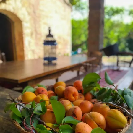 Apartman Il Bosco Del Lebbio Montaione