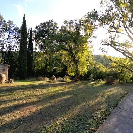 Il Bosco Del Lebbio