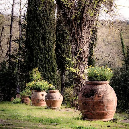 Apartman Il Bosco Del Lebbio Montaione
