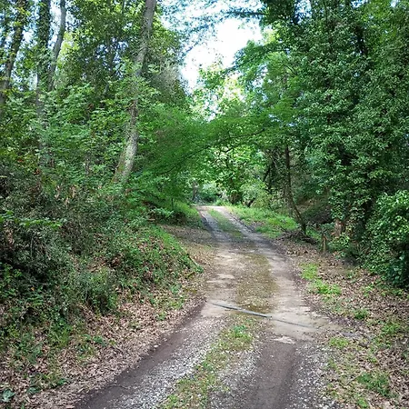 Il Bosco Del Lebbio Montaione