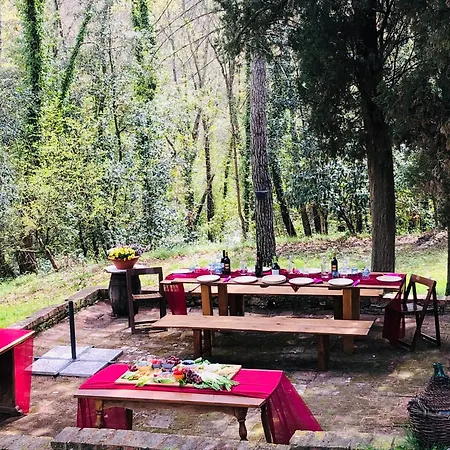Il Bosco Del Lebbio Montaione