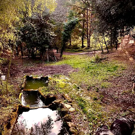 Apartman Il Bosco Del Lebbio Montaione