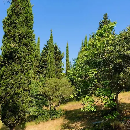 Apartman Il Bosco Del Lebbio